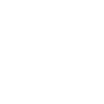 International Shipping Icon White