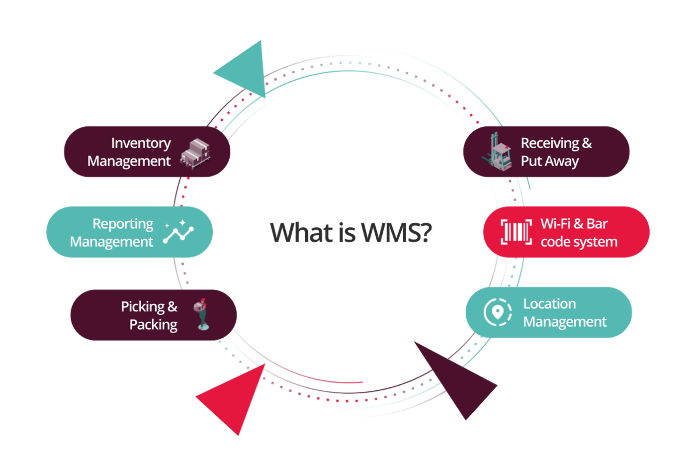 Enlarged what is a wms