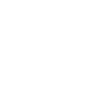 Courier Icon White